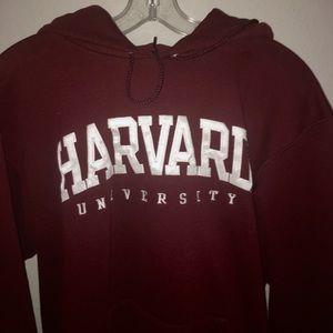 Champion Harvard Hoddie